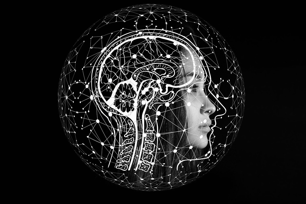 The Future of AI in Software Development-image